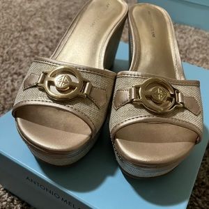 Antonio Melani Gold Wedges